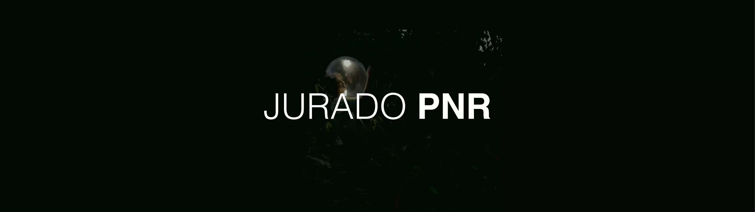 JURADO PNR